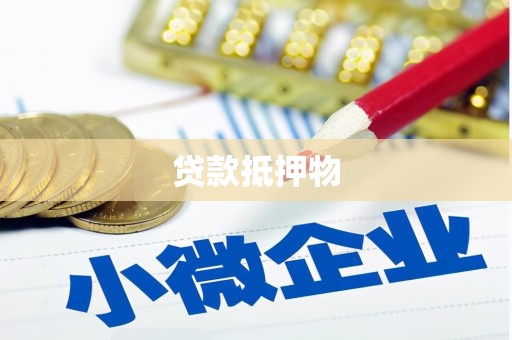 海兴贷款抵押物