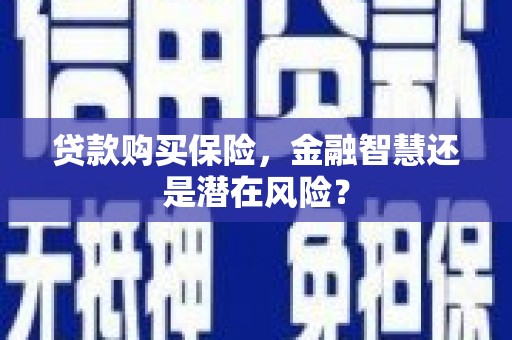 海兴贷款购买保险，金融智慧还是潜在风险？