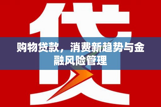 海兴购物贷款，消费新趋势与金融风险管理