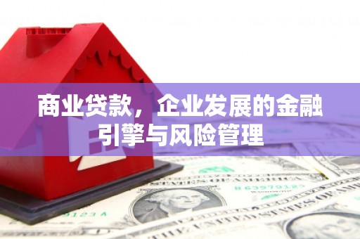 海兴商业贷款，企业发展的金融引擎与风险管理
