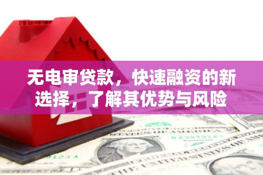 海兴无电审贷款，快速融资的新选择，了解其优势与风险
