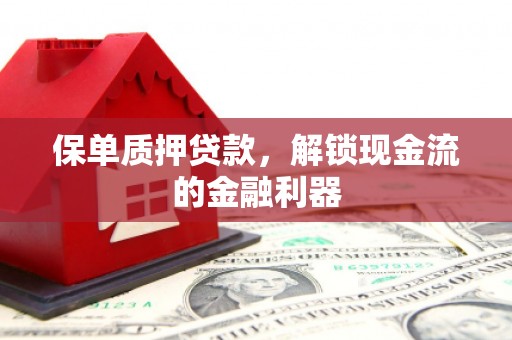 海兴保单质押贷款，解锁现金流的金融利器