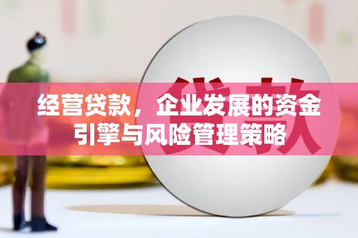 海兴经营贷款，企业发展的资金引擎与风险管理策略