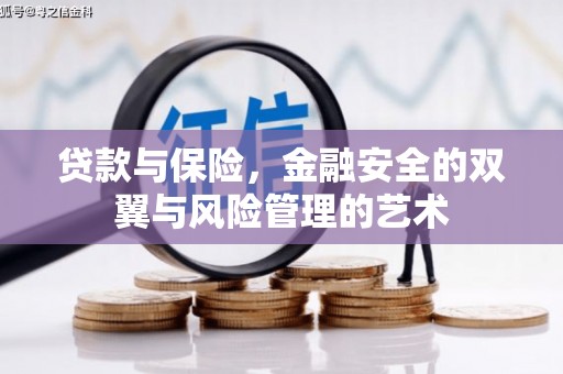 海兴贷款与保险，金融安全的双翼与风险管理的艺术
