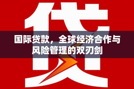 海兴国际贷款，全球经济合作与风险管理的双刃剑