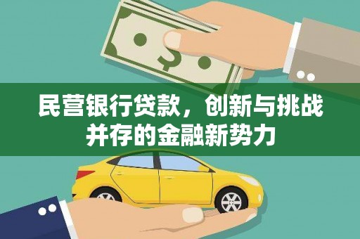 海兴民营银行贷款，创新与挑战并存的金融新势力