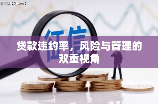 海兴贷款违约率，风险与管理的双重视角