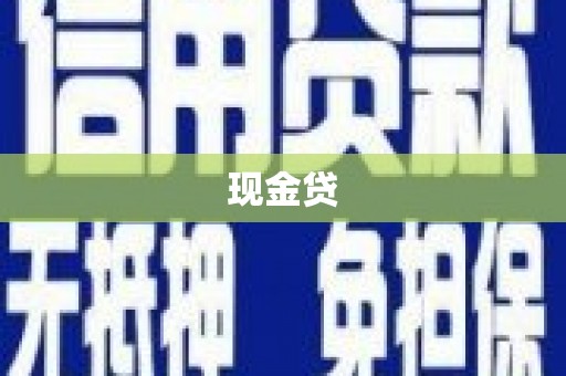 海兴现金贷