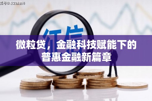 海兴微粒贷，金融科技赋能下的普惠金融新篇章