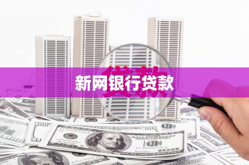 海兴新网银行贷款
