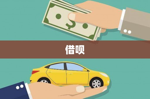 海兴借呗