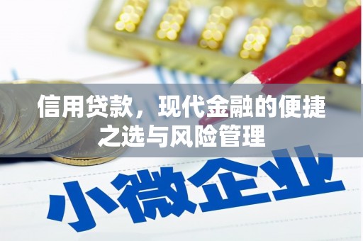 海兴信用贷款，现代金融的便捷之选与风险管理