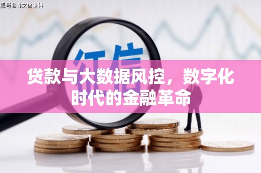 海兴贷款与大数据风控，数字化时代的金融革命