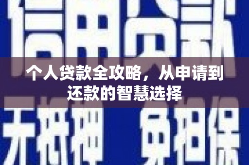 海兴个人贷款全攻略，从申请到还款的智慧选择