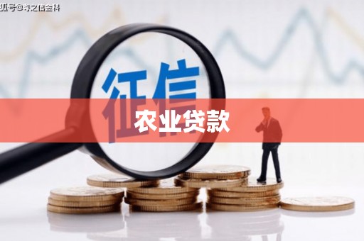 海兴农业贷款
