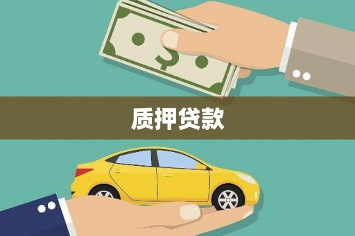 海兴质押贷款