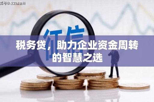 海兴税务贷，助力企业资金周转的智慧之选