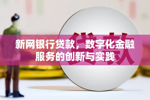 海兴新网银行贷款，数字化金融服务的创新与实践