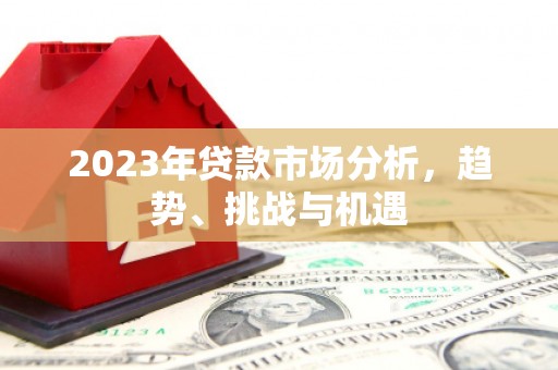 海兴2023年贷款市场分析，趋势、挑战与机遇