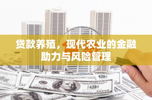 海兴贷款养殖，现代农业的金融助力与风险管理