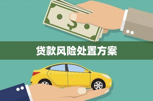 海兴贷款风险处置方案