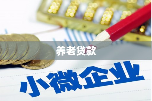 海兴养老贷款