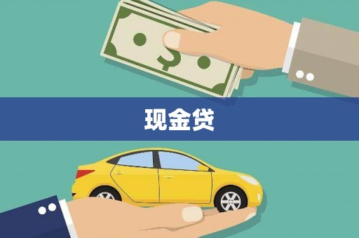 海兴现金贷