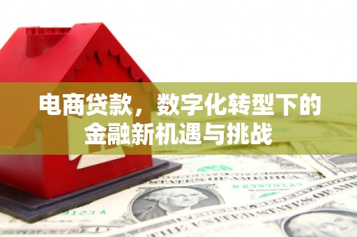 海兴电商贷款，数字化转型下的金融新机遇与挑战