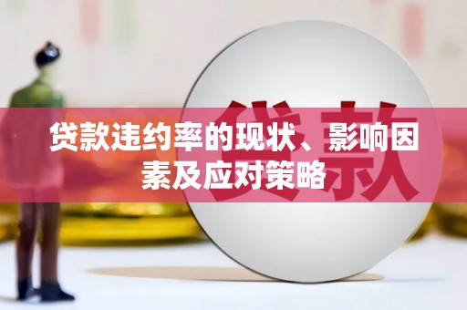 海兴贷款违约率的现状、影响因素及应对策略
