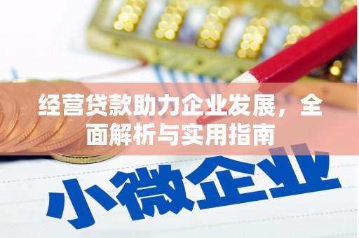海兴经营贷款助力企业发展，全面解析与实用指南
