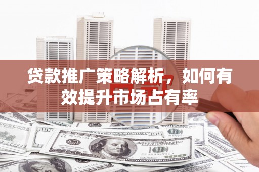 海兴贷款推广策略解析，如何有效提升市场占有率