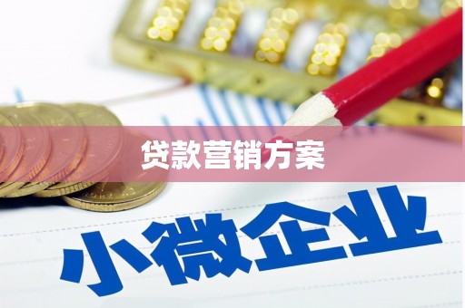 海兴贷款营销方案