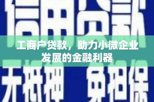 海兴工商户贷款，助力小微企业发展的金融利器