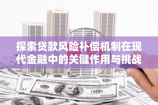 海兴探索贷款风险补偿机制在现代金融中的关键作用与挑战