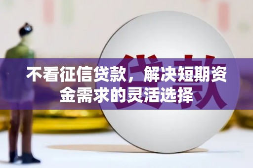 海兴不看征信贷款，解决短期资金需求的灵活选择