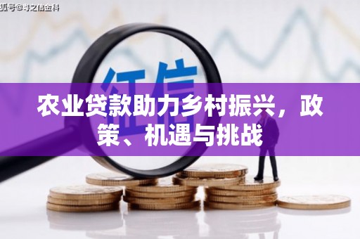 海兴农业贷款助力乡村振兴，政策、机遇与挑战