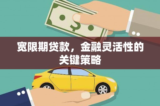 海兴宽限期贷款，金融灵活性的关键策略