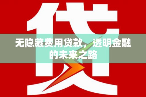 海兴无隐藏费用贷款，透明金融的未来之路