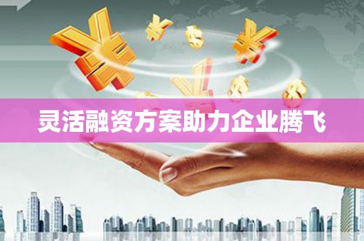 海兴灵活融资方案助力企业腾飞