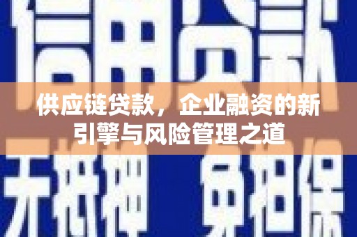 海兴供应链贷款，企业融资的新引擎与风险管理之道