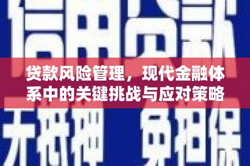 海兴贷款风险管理，现代金融体系中的关键挑战与应对策略