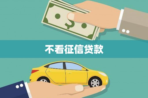 海兴不看征信贷款