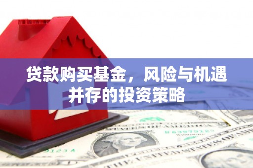 海兴贷款购买基金，风险与机遇并存的投资策略