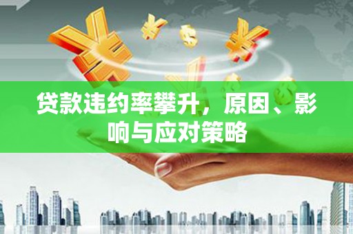 海兴贷款违约率攀升，原因、影响与应对策略