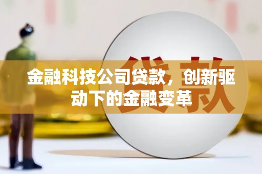 海兴金融科技公司贷款，创新驱动下的金融变革