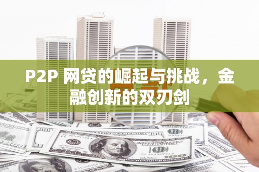 海兴P2P 网贷的崛起与挑战，金融创新的双刃剑