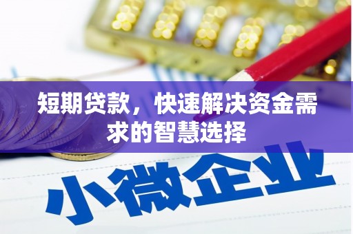 海兴短期贷款，快速解决资金需求的智慧选择