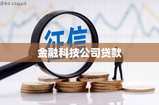 海兴金融科技公司贷款