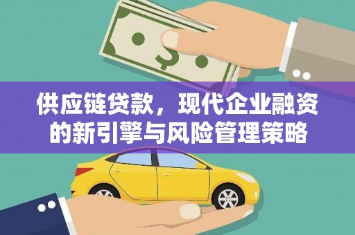 海兴供应链贷款，现代企业融资的新引擎与风险管理策略