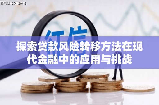 海兴探索贷款风险转移方法在现代金融中的应用与挑战
